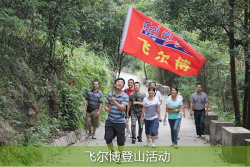 飞尔博登山活动